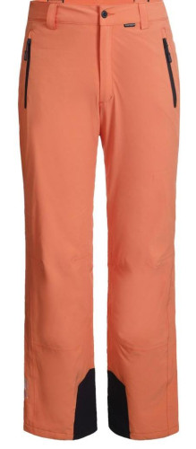 Брюки горнолыжные Icepeak 657038839IV 455 в Астрахани