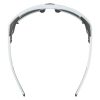 Купить Очки Alpina Skywalsh Q Smoke-Grey Matt/Green Mirror Cat.4 Fogstop в Астрахани
