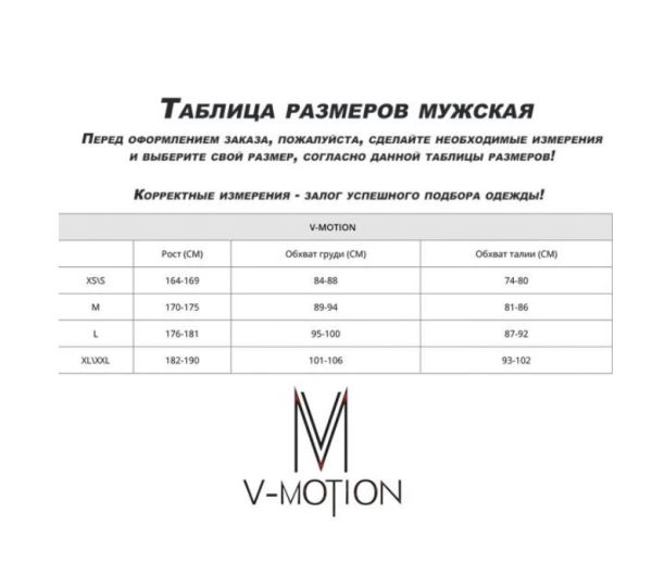 Термобельё V-MOTION Base мужской серебристый в Астрахани