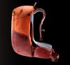 Рюкзак Deuter Futura 27 Paprika-Redwood