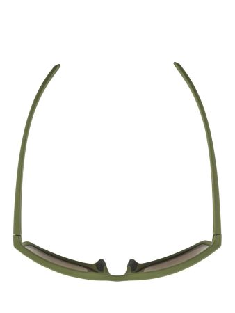 Купить Очки Alpina Nacan I Olive Matt/Bronce Mirror Cat.3 в Астрахани