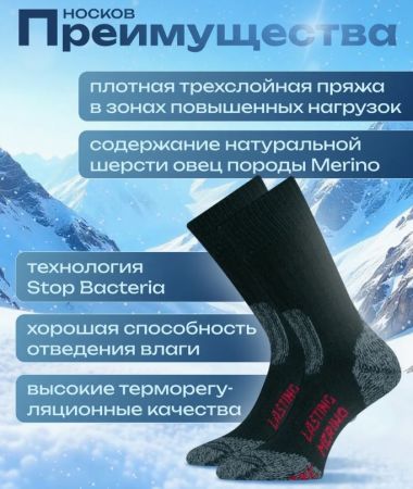 Купить Носки Lasting TXC 900 