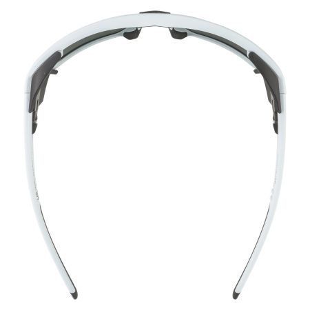 Купить Очки Alpina Skywalsh Q Smoke-Grey Matt/Green Mirror Cat.4 Fogstop в Астрахани