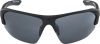 Купить Очки Alpina Lyron Hr Black Matt/Black Mirror Cat.3 в Астрахани