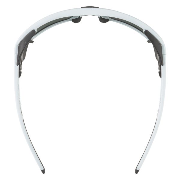 Купить очки alpina skywalsh q smoke-grey matt/green mirror cat.4 fogstop в Астрахани