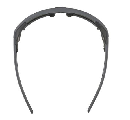 Купить Очки Alpina Skywalsh Q Midnight-Grey Matt/Blue Mirror Cat.4 Fogstop в Астрахани