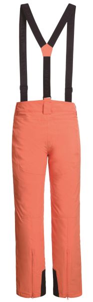 Брюки горнолыжные Icepeak 657038839IV 455 в Астрахани